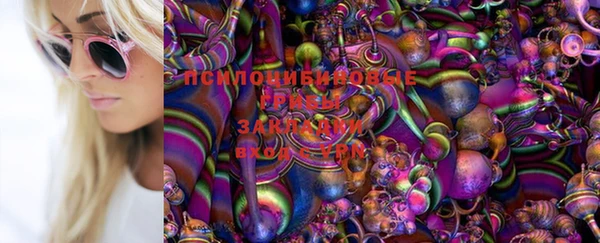 каннабис Баксан